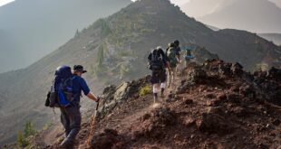 Group of Person Walking in Mountain