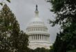 US Capitol Building Framed by Trees