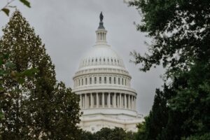 US Capitol Building Framed by Trees