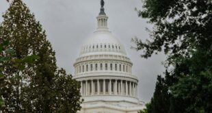 US Capitol Building Framed by Trees